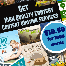 High quality writing services