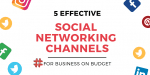 5 Effective Social Networking Channels For Business on Budget